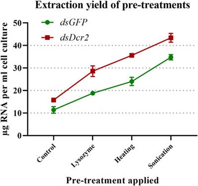 Methods for the Cost-Effective Production of Bacteria-Derived Double-Stranded RNA for in vitro Knockdown Studies